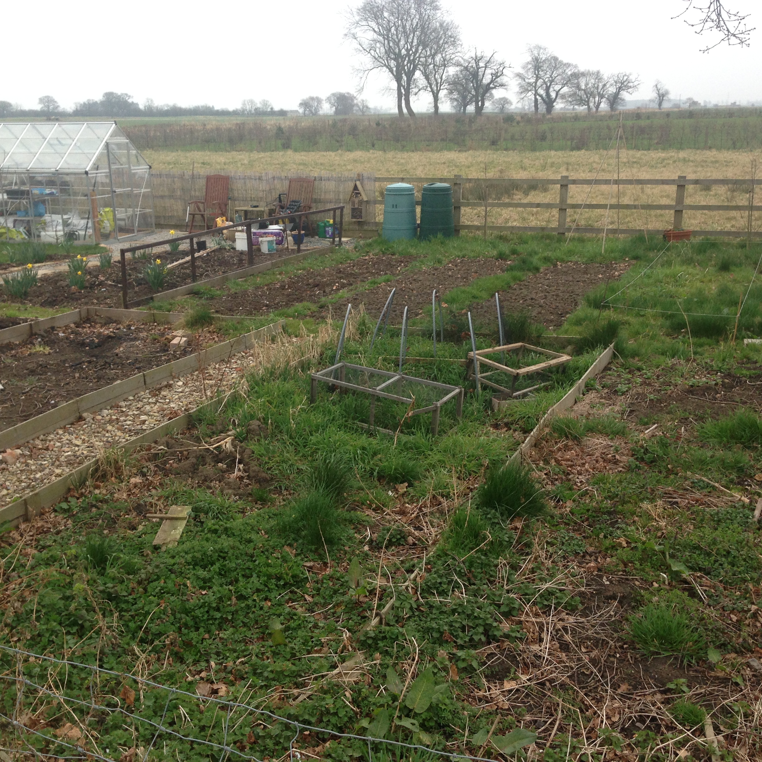 Picture of the Allotments